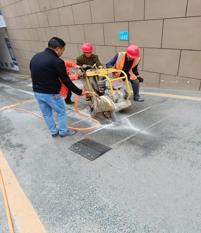 利州区东坝街道“办一件事暖万人心”惠民活动公示（2024年10月）(图9)