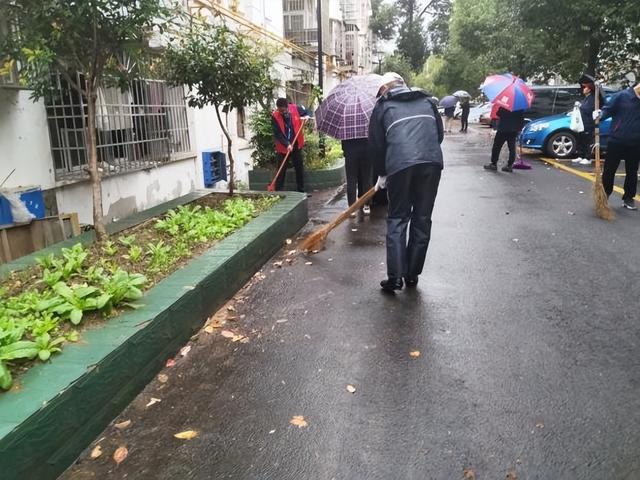 利州区东坝街道“办一件事暖万人心”惠民活动公示（2024年10月）(图14)