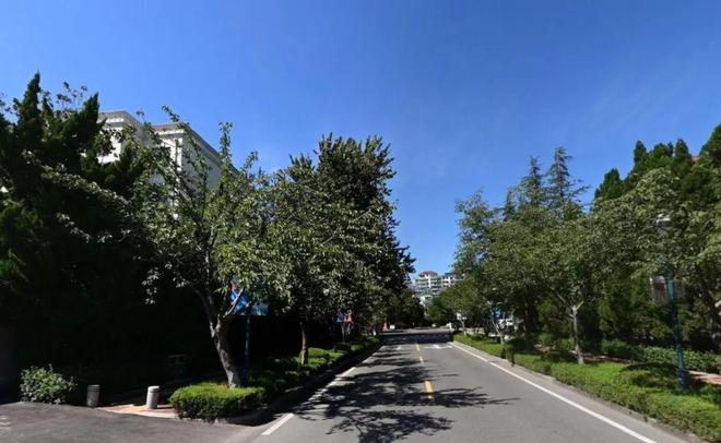 Kaiyun(中国体育):城阳区公布2025年政府财力投资项目共11个投资超12亿(图1)