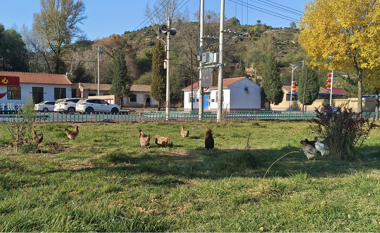 和顺县西马泉村：“千万工程”经验促蝶变乡村振兴谱新篇(图1)