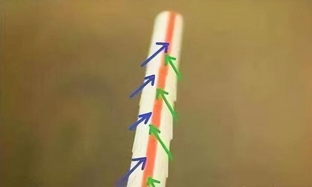 下水道堵了别再用棍子捅了教你几个小妙招轻松解决不伤管道(图2)