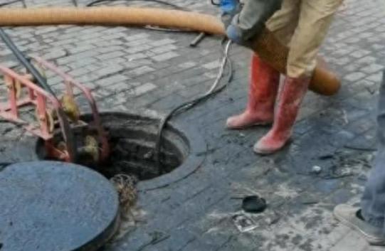 活久见!城市下水道吸出大量埃及鲶鱼用外来入侵物种通厕所?(图1)