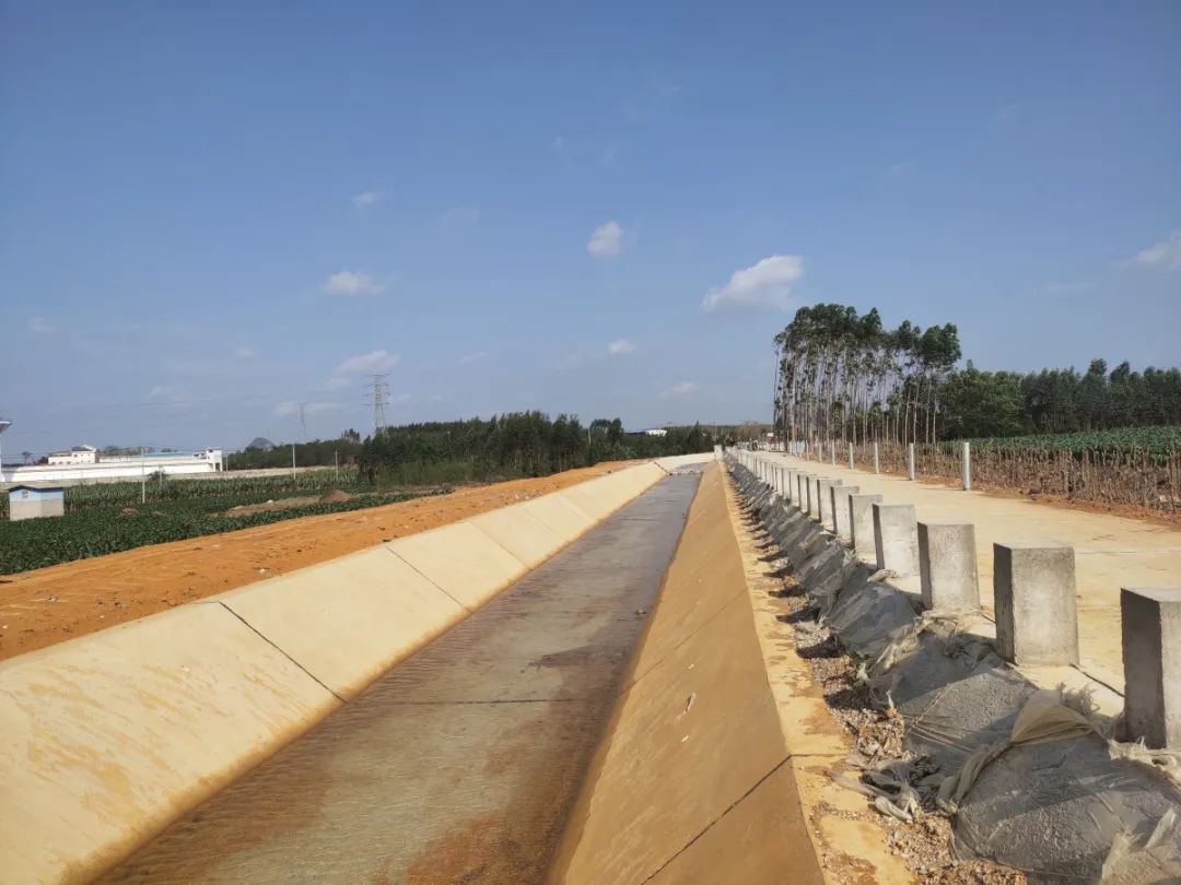 保饮水稳春耕横州市多措并举应对旱情(图4)