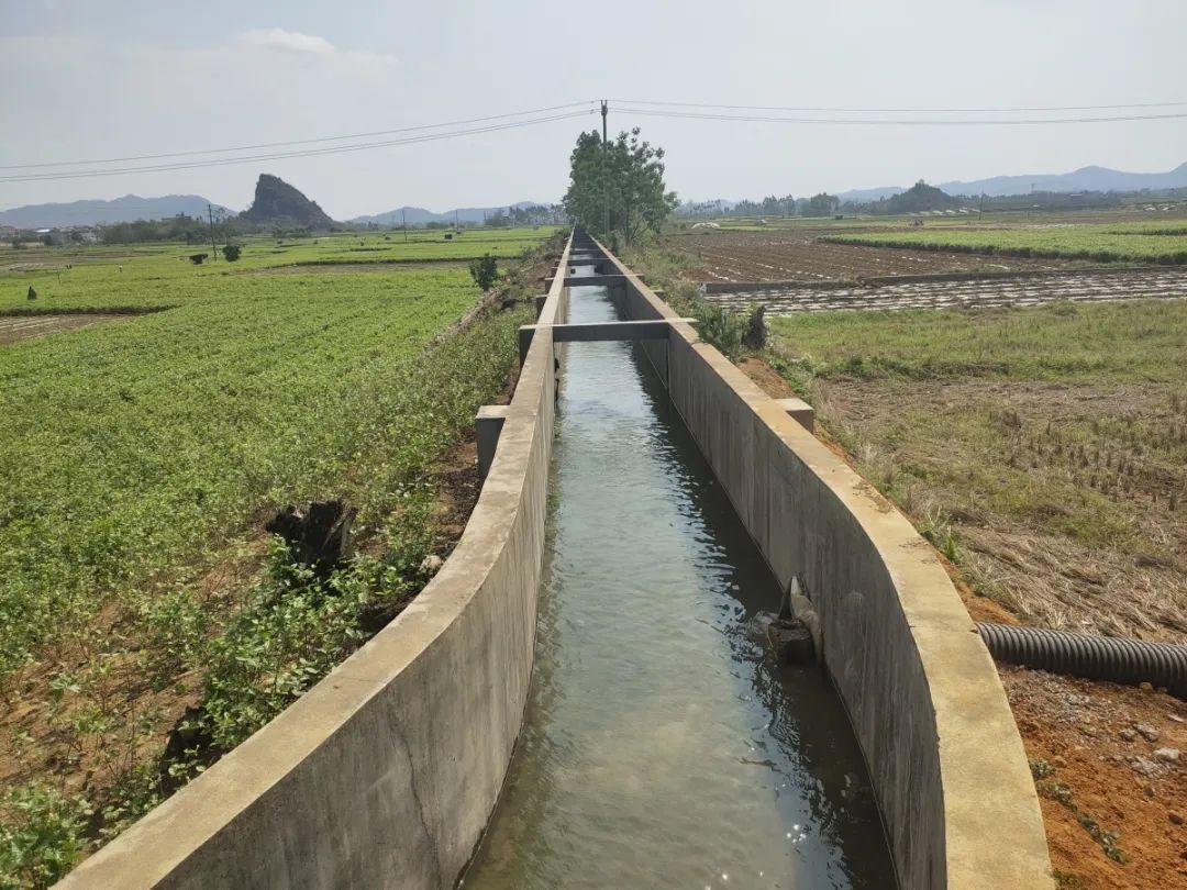 保饮水稳春耕横州市多措并举应对旱情(图6)