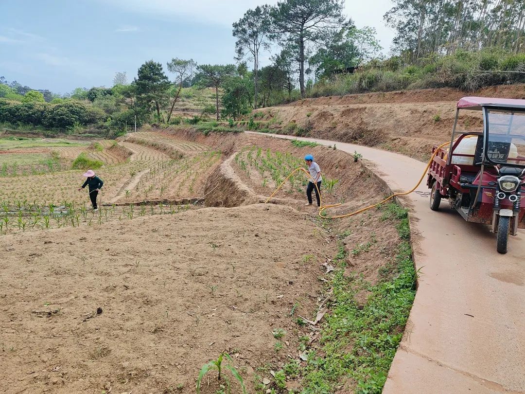 保饮水稳春耕横州市多措并举应对旱情(图7)