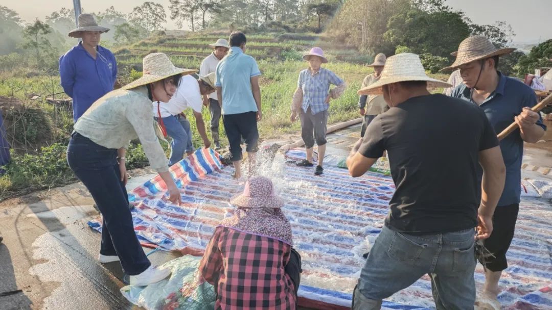 保饮水稳春耕横州市多措并举应对旱情(图8)