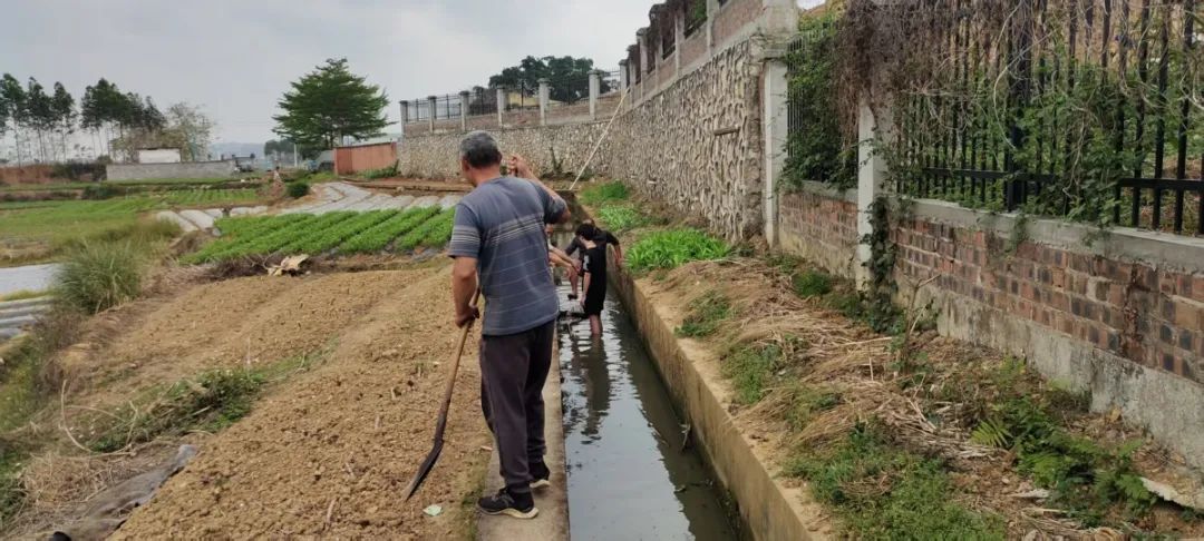 保饮水稳春耕横州市多措并举应对旱情(图10)
