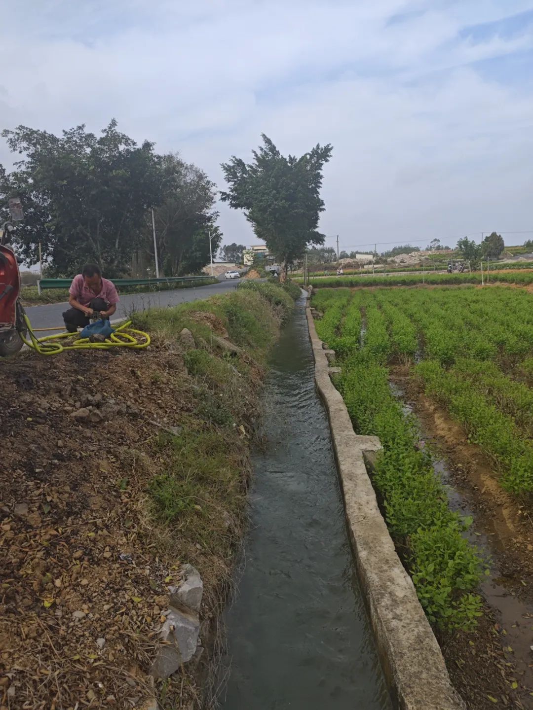 保饮水稳春耕横州市多措并举应对旱情(图12)