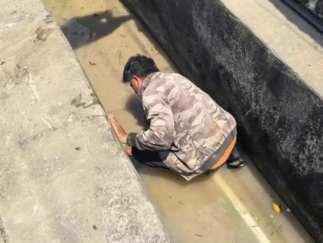 保饮水稳春耕横州市多措并举应对旱情(图16)