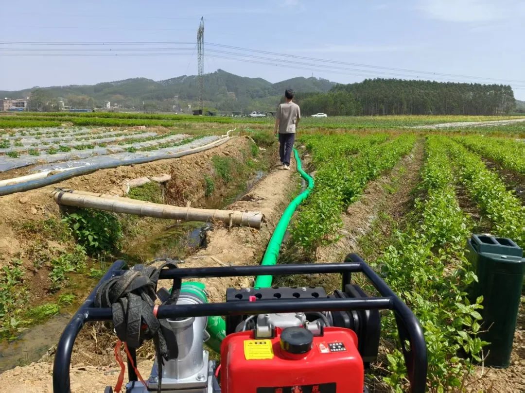 保饮水稳春耕横州市多措并举应对旱情(图23)