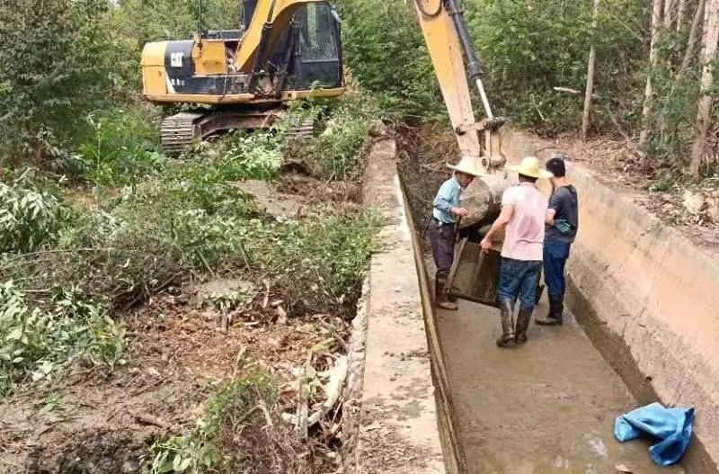 保饮水稳春耕横州市多措并举应对旱情(图24)