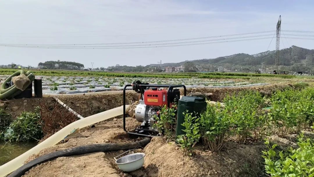 保饮水稳春耕横州市多措并举应对旱情(图25)