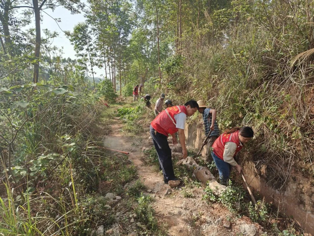 保饮水稳春耕横州市多措并举应对旱情(图26)