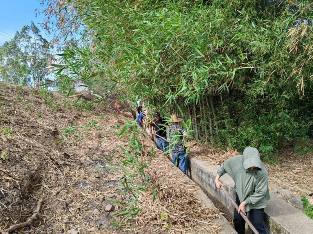 保饮水稳春耕横州市多措并举应对旱情(图27)