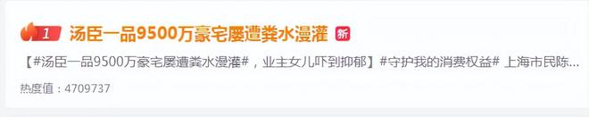 汤臣一品亿元豪宅经历的“粪水危机”：撕开物业管理黑洞冰山一角(图1)