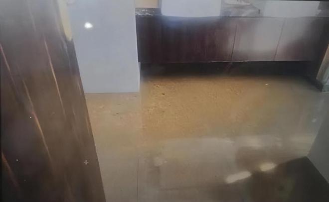 汤臣一品亿元豪宅经历的“粪水危机”：撕开物业管理黑洞冰山一角(图7)
