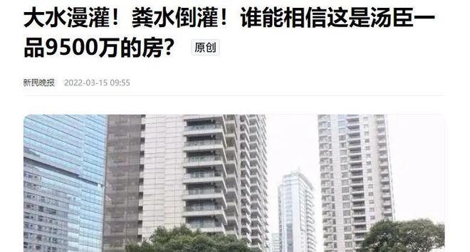 汤臣一品亿元豪宅经历的“粪水危机”：撕开物业管理黑洞冰山一角(图9)