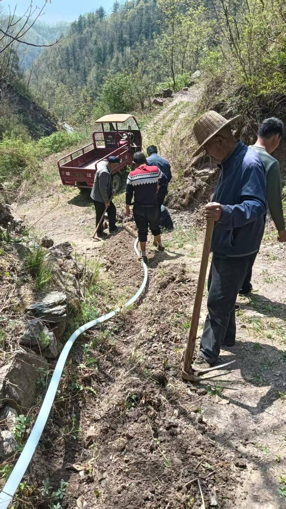 抗旱保苗护民生多措并举保丰收(图1)