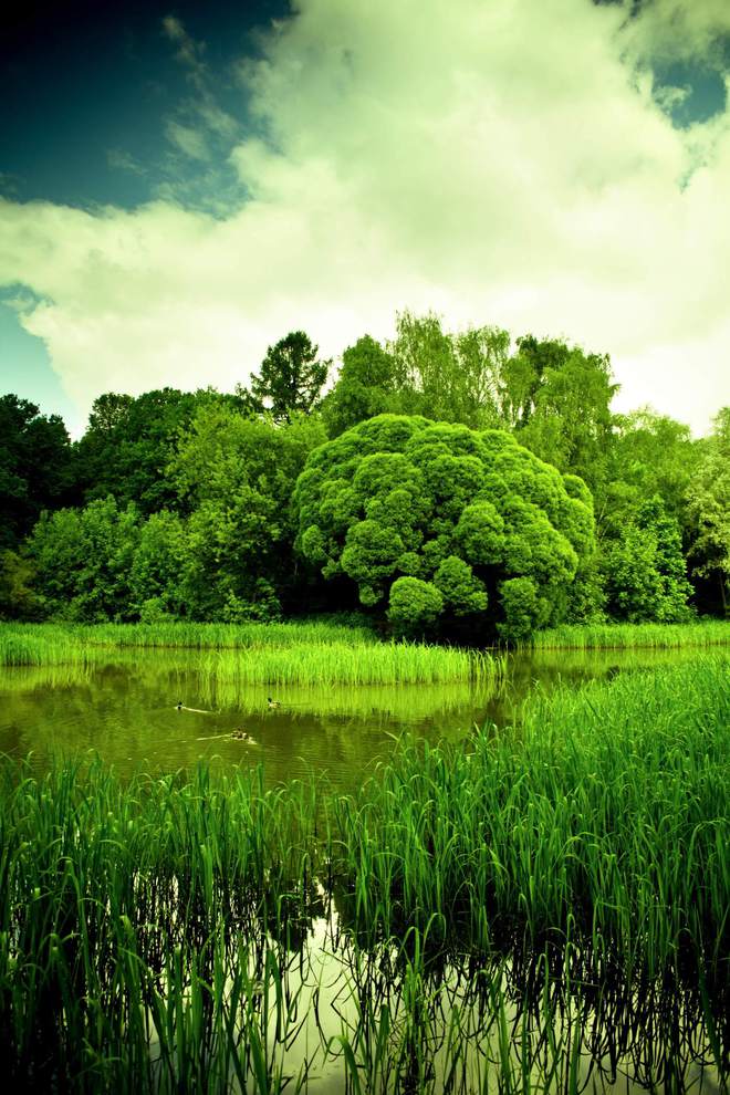 Kaiyun体育网站：2025年5月起这些环保规范和标准正式实施(图1)