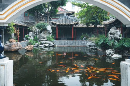 Kaiyun体育网站：深圳宝安◈深圳院子营销中心发布：2025欲购从速！中式(图10)