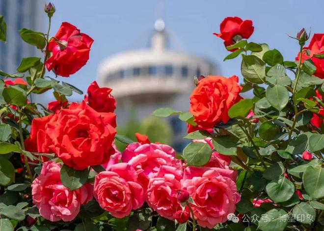 今天13时57分！博望区正式进入…(图1)