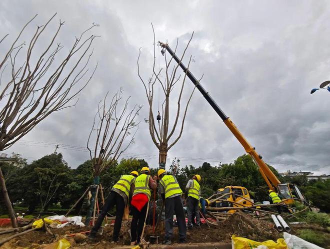 Kaiyun体育网站:“大凤路20”正在焕新(图3)