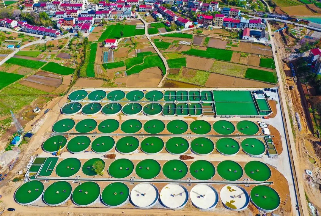 “楼”养鸭、“陆”养鱼、“棚”种树……看襄阳如何大力培植农业新质生产力！(图8)