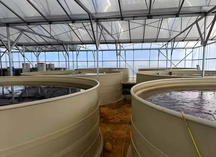 “楼”养鸭、“陆”养鱼、“棚”种树……看襄阳如何大力培植农业新质生产力！(图9)