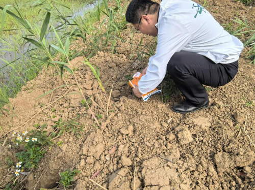 国寿财险广东分公司：抢抓农时护春耕多措并举保生产(图1)