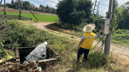 国寿财险广东分公司：抢抓农时护春耕多措并举保生产(图2)