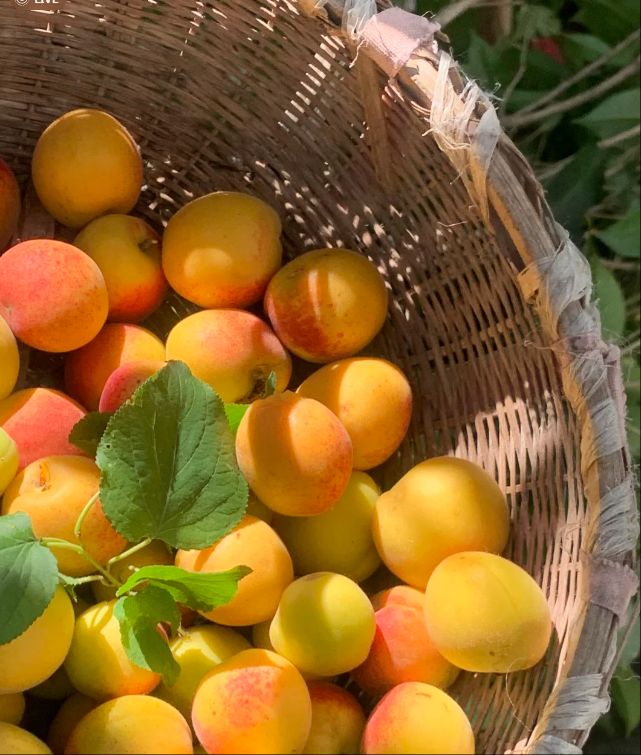 Kaiyun（中国体育）：比坐迈巴赫还刺激！泗洪网友太会玩了！(图2)