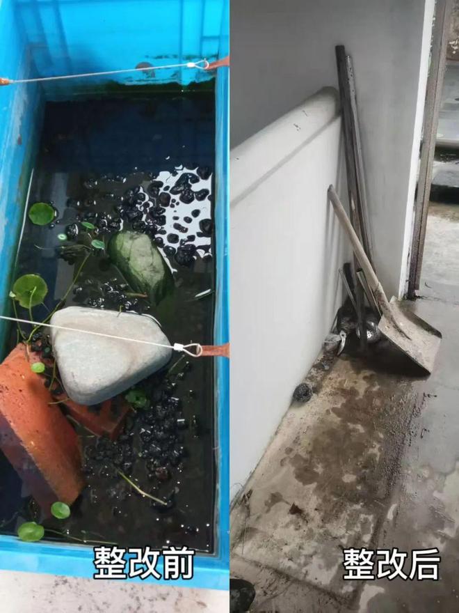 Kaiyun（中国体育）：江南防控口诀好记又实用！企业群众治理齐参与(图4)