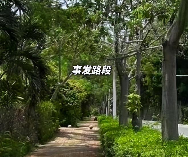 三亚女子被咬最新进展:医院曾被罚款百万家属发声或准备尸检(图3)