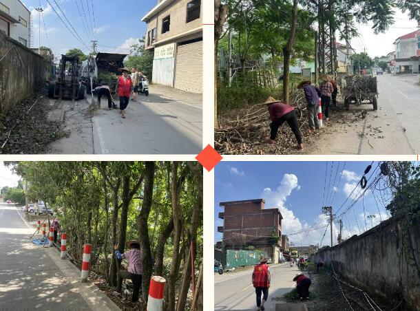 Kaiyun（中国体育）：创城日｜龙文：聚焦人居环境擦亮文明底色(图4)