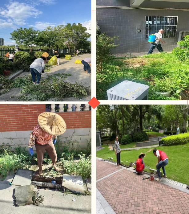 Kaiyun（中国体育）：创城日｜龙文：聚焦人居环境擦亮文明底色(图5)