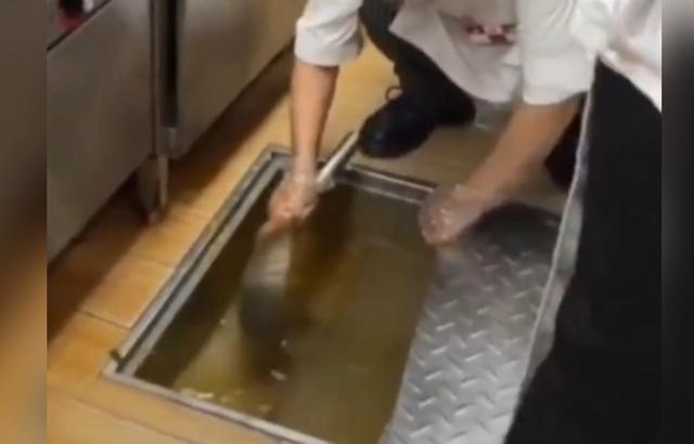 西贝员工用漏勺疏通厨房下水道被质疑一旁的锅里有个相似漏勺(图1)