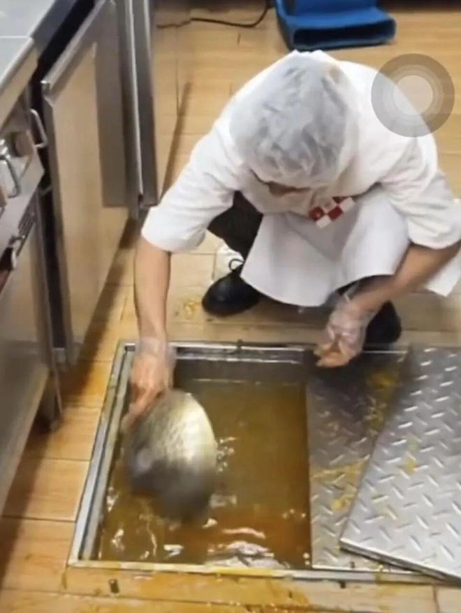 Kaiyun（中国体育）：西贝暂停后厨开放此前曾被曝有门店用“漏勺”清理下水道(图1)