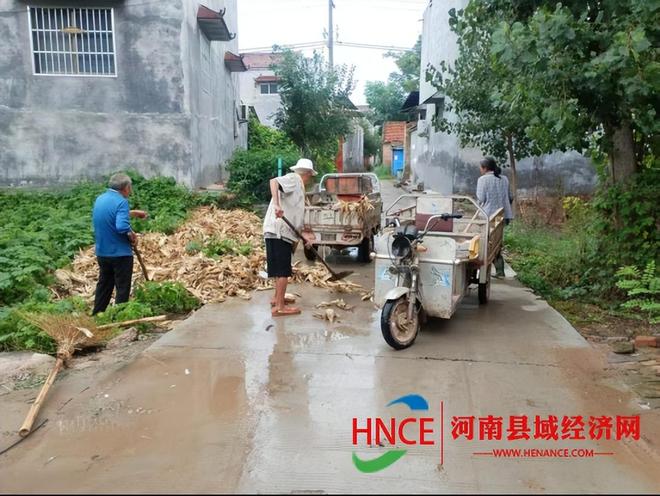 商丘市梁园区王楼镇：雨后清洁齐动手美丽乡村“焕”新颜(图1)