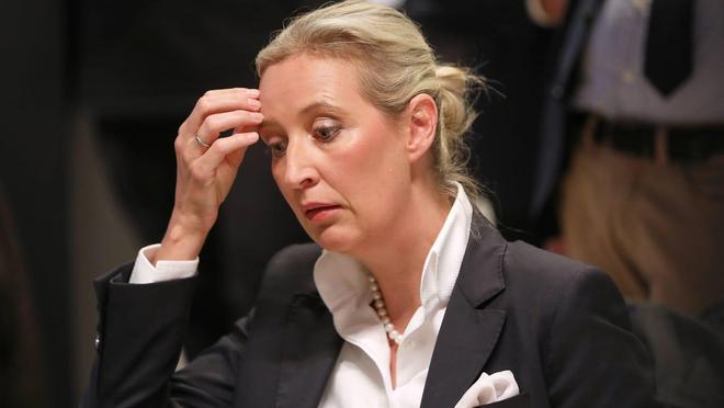 德国选择党6名候选人接连死亡警方：死因无任何疑点(图1)