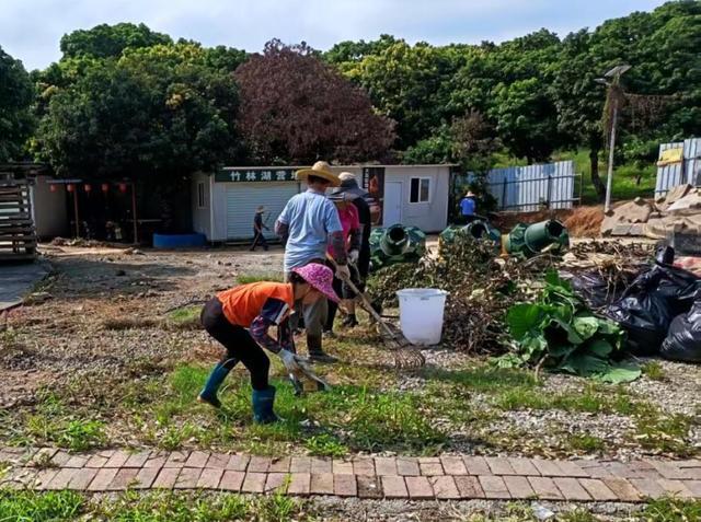 全域文明迎全运｜绘就节日洁净画卷！东莞各地开展爱国卫生统一行动(图4)