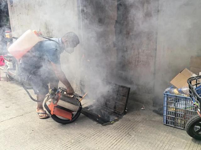 全域文明迎全运｜绘就节日洁净画卷！东莞各地开展爱国卫生统一行动(图7)