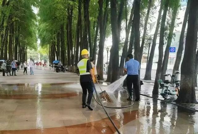 全域文明迎全运｜绘就节日洁净画卷！东莞各地开展爱国卫生统一行动(图6)