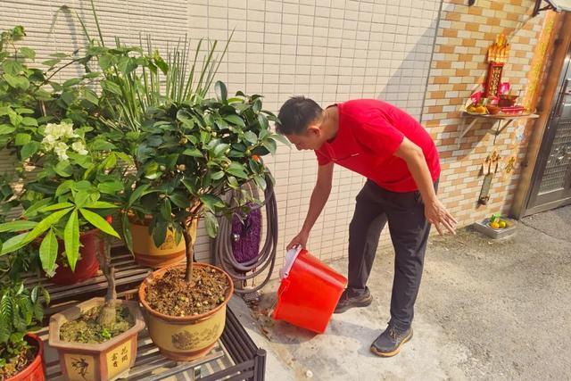 全域文明迎全运｜绘就节日洁净画卷！东莞各地开展爱国卫生统一行动(图17)