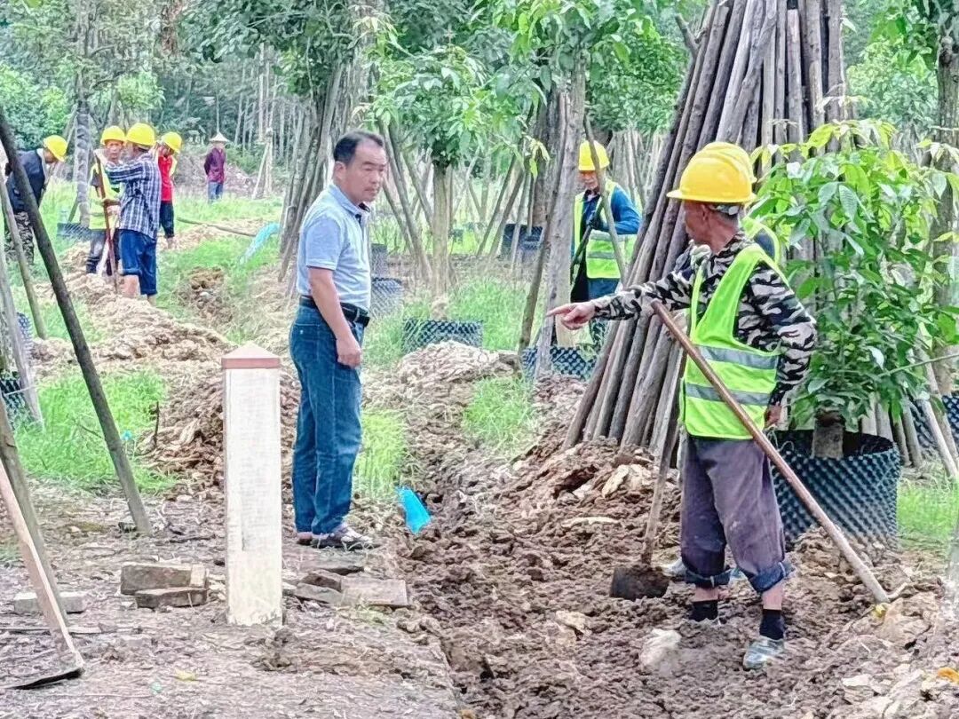 漳浦:织密农村饮水“幸福网”8150名群众告别“用水愁”(图10)