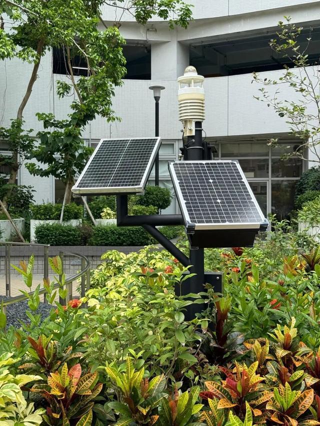 Kaiyun体育网站：香港这所低调的大学藏不住了(图6)