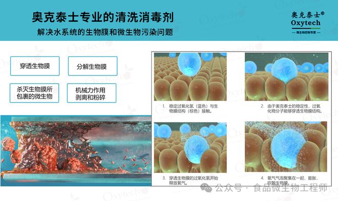 解析食品饮料生产中的无菌水生物膜问题：危害与车间管道解决方案(图3)