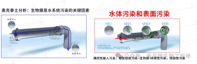 解析食品饮料生产中的无菌水生物膜问题：危害与车间管道解决方案(图2)