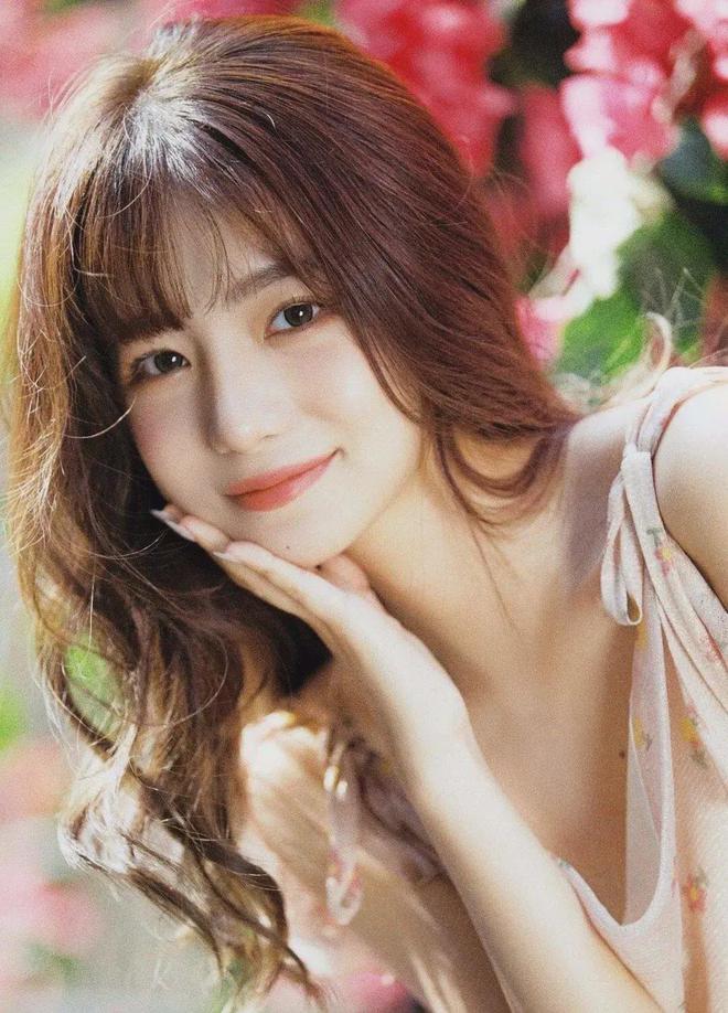 花蝴蝶中文(图1)