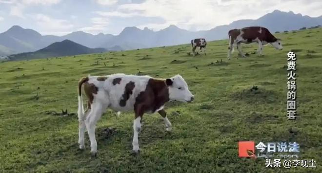 Kaiyun体育网站：“免费火锅”骗局曝光诈骗团伙骗走4200万数百名老人上当受骗(图2)