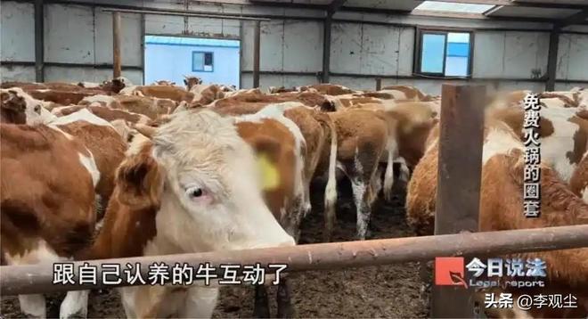 Kaiyun体育网站：“免费火锅”骗局曝光诈骗团伙骗走4200万数百名老人上当受骗(图3)